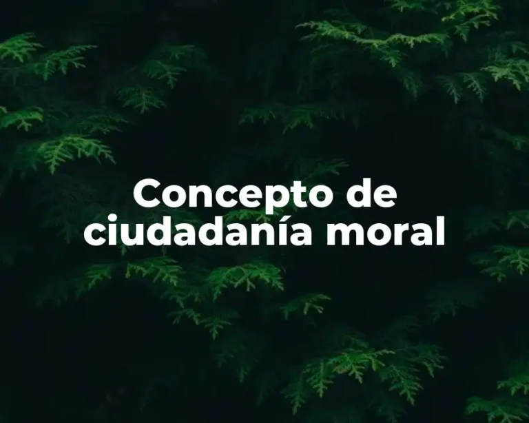 Concepto de ciudadanía moral