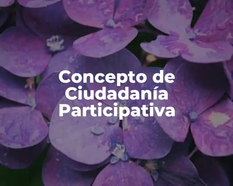 Concepto de Ciudadanía Participativa