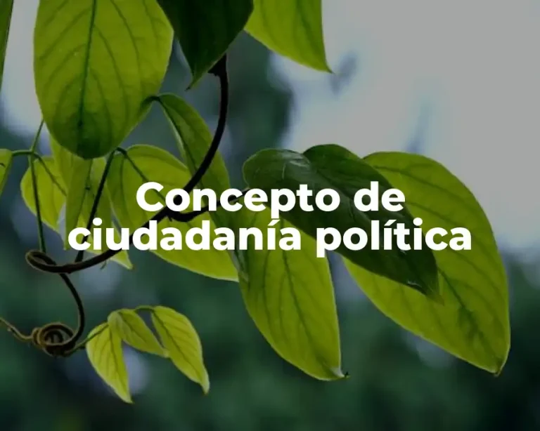 Concepto de ciudadanía política