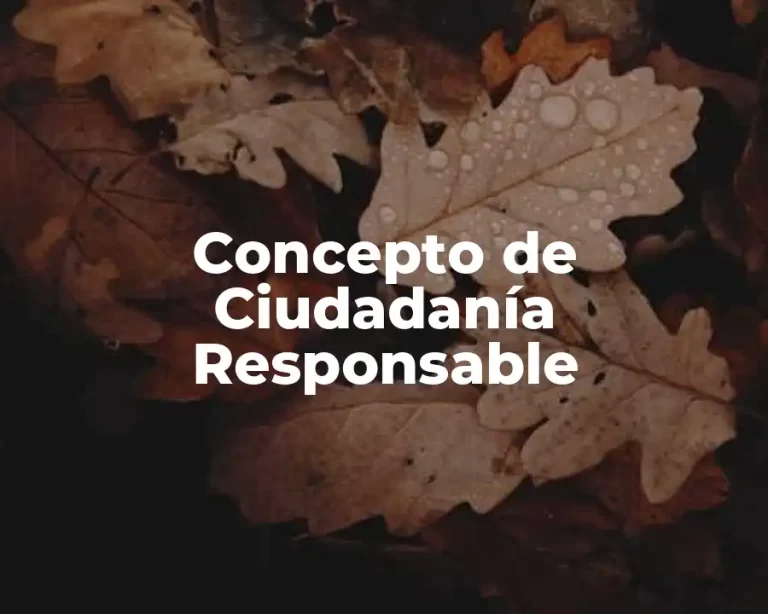Concepto de Ciudadanía Responsable