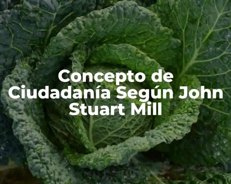 Concepto de Ciudadanía Según John Stuart Mill
