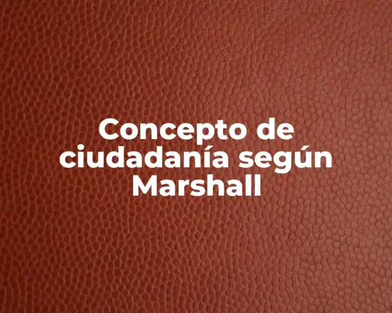 Concepto de ciudadanía según Marshall