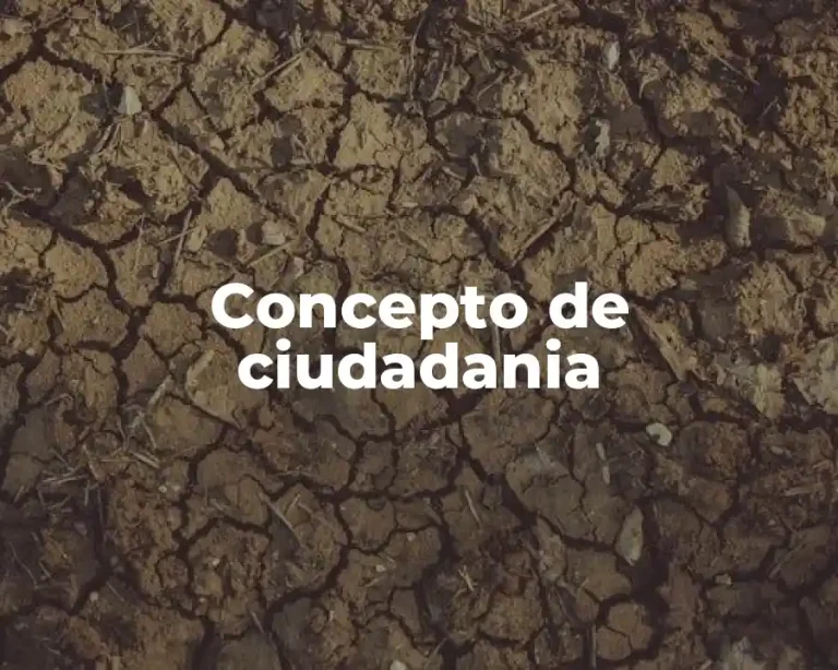 Concepto de ciudadania