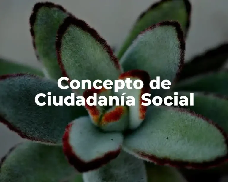 Concepto de Ciudadanía Social