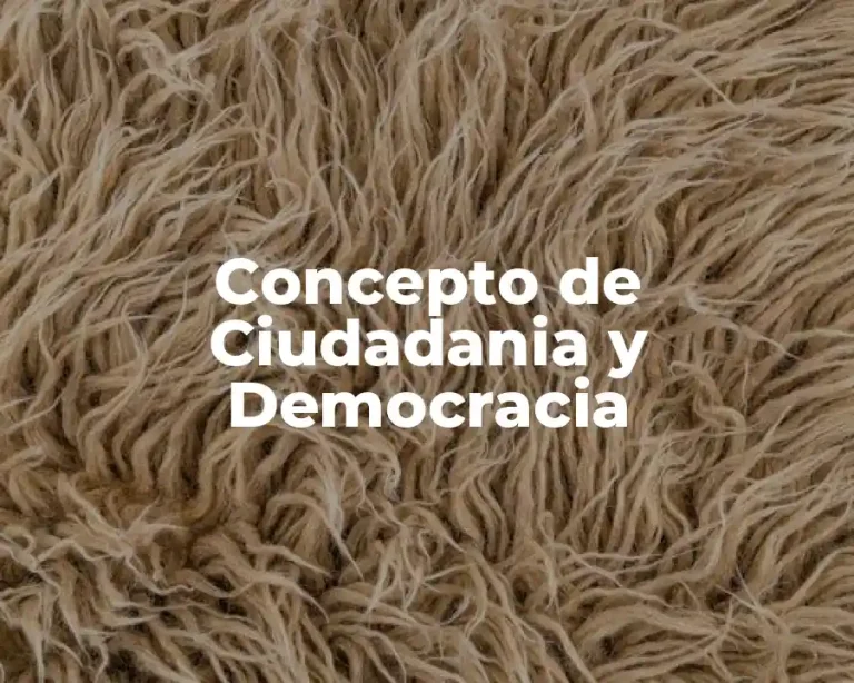 Concepto de Ciudadania y Democracia