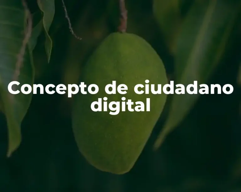 Concepto de ciudadano digital