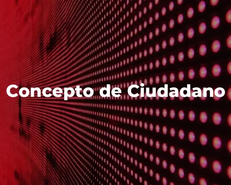 Concepto de Ciudadano