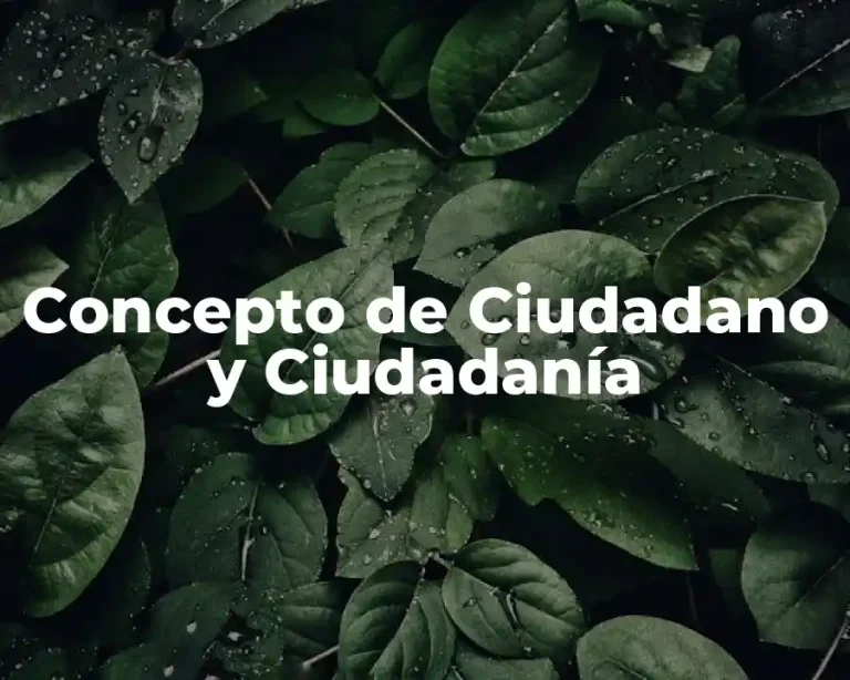 Concepto de Ciudadano y Ciudadanía
