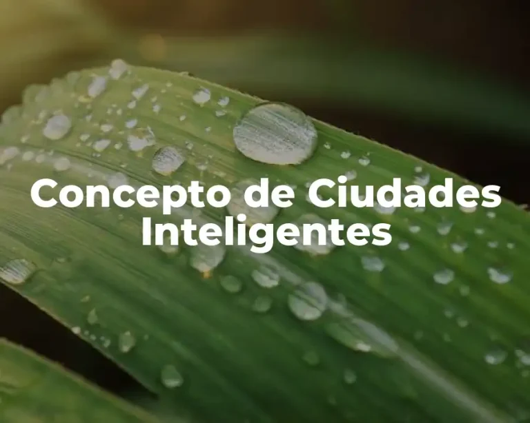 Concepto de Ciudades Inteligentes
