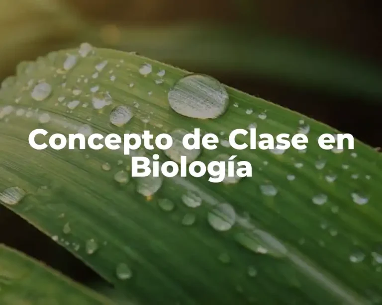 Concepto de Clase en Biología