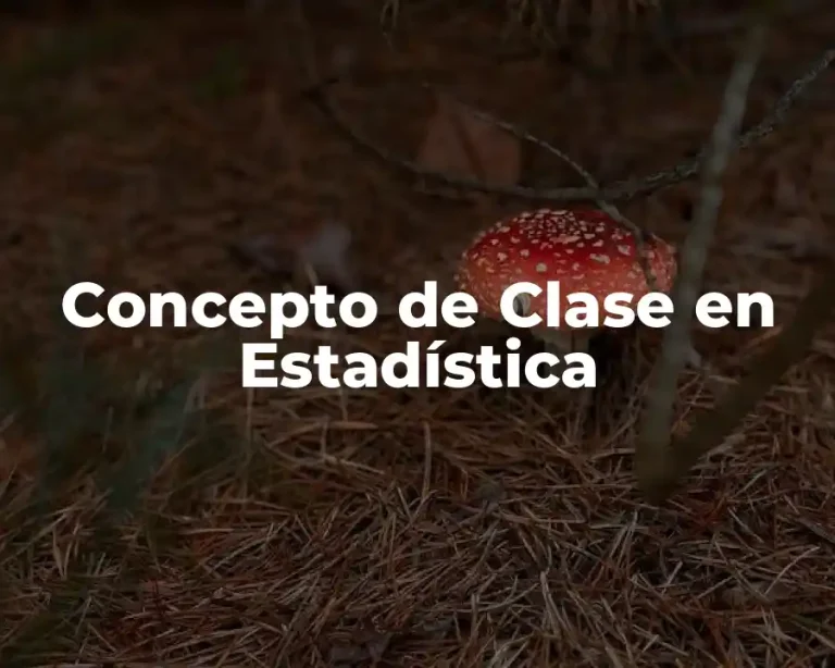 Concepto de Clase en Estadística