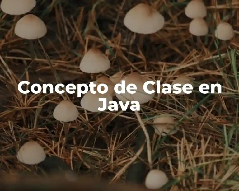 Concepto de Clase en Java