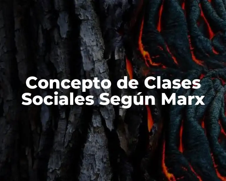 Concepto de Clases Sociales Según Marx