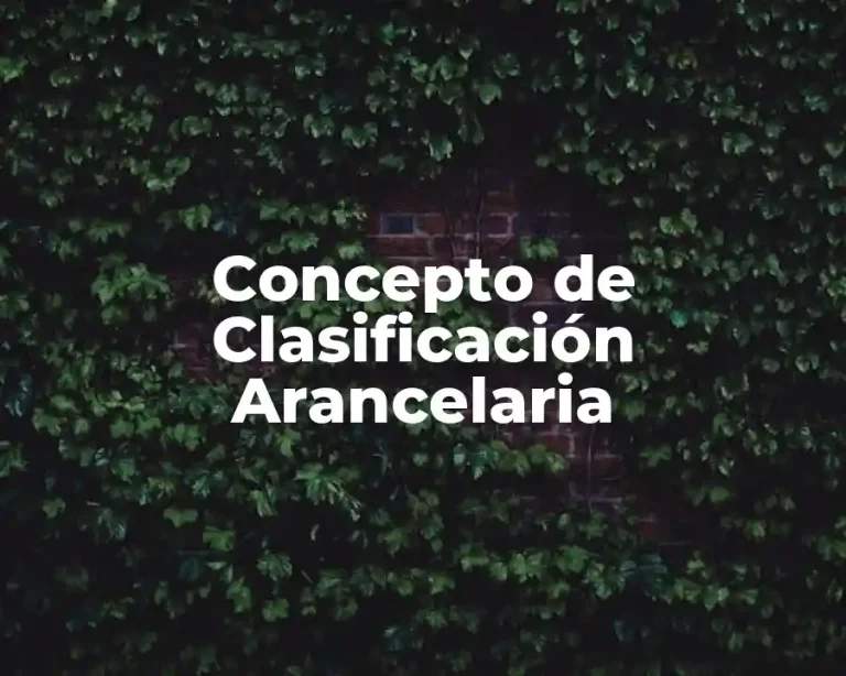 Concepto de Clasificación Arancelaria