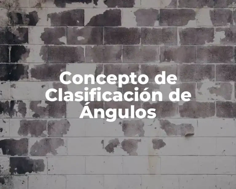 Concepto de Clasificación de Ángulos