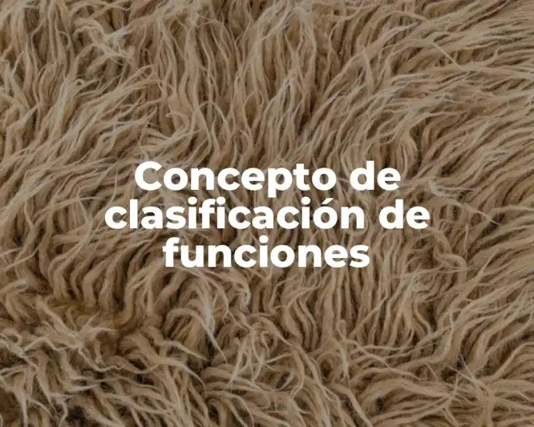 Concepto de clasificación de funciones