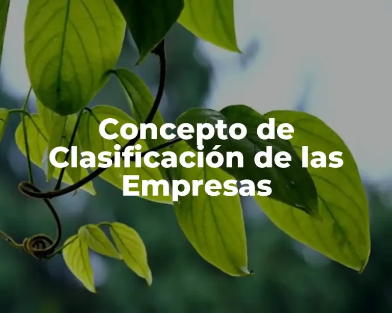 Concepto de Clasificación de las Empresas