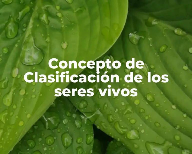 Concepto de Clasificación de los seres vivos