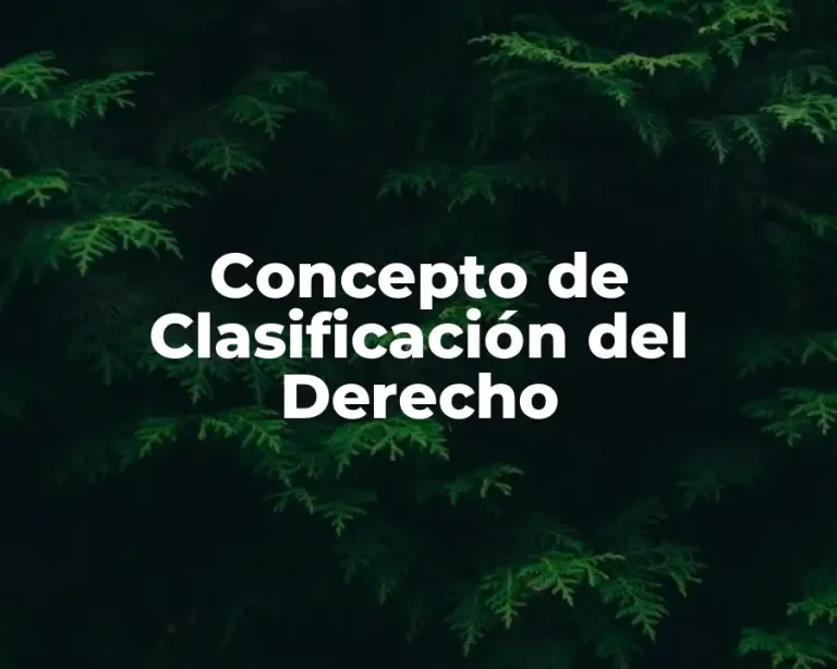 Concepto de Clasificación del Derecho