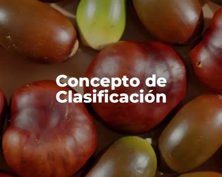 Concepto de Clasificación