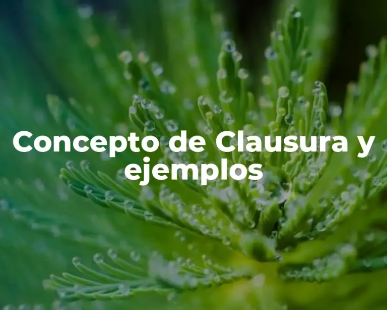 Concepto de Clausura y ejemplos