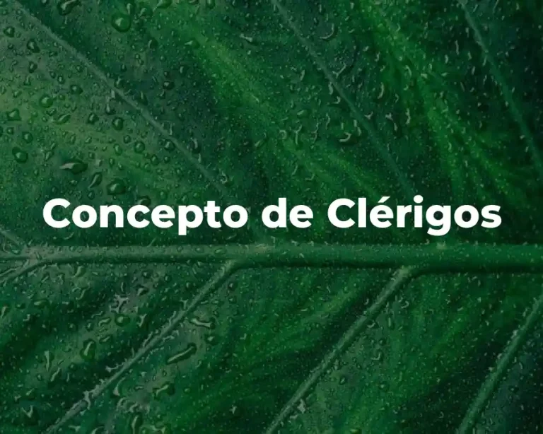 Concepto de Clérigos
