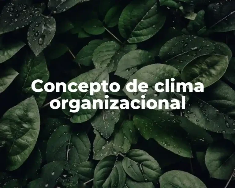 Concepto de clima organizacional