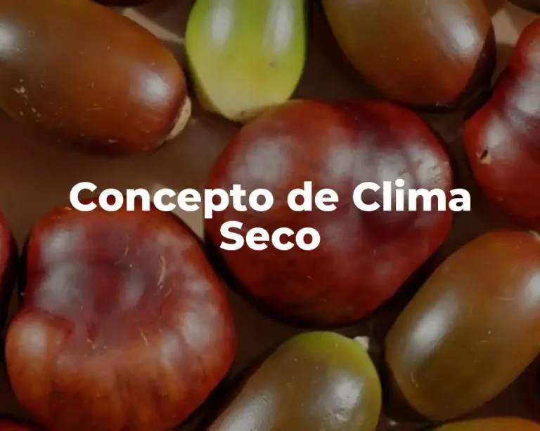 Concepto de Clima Seco
