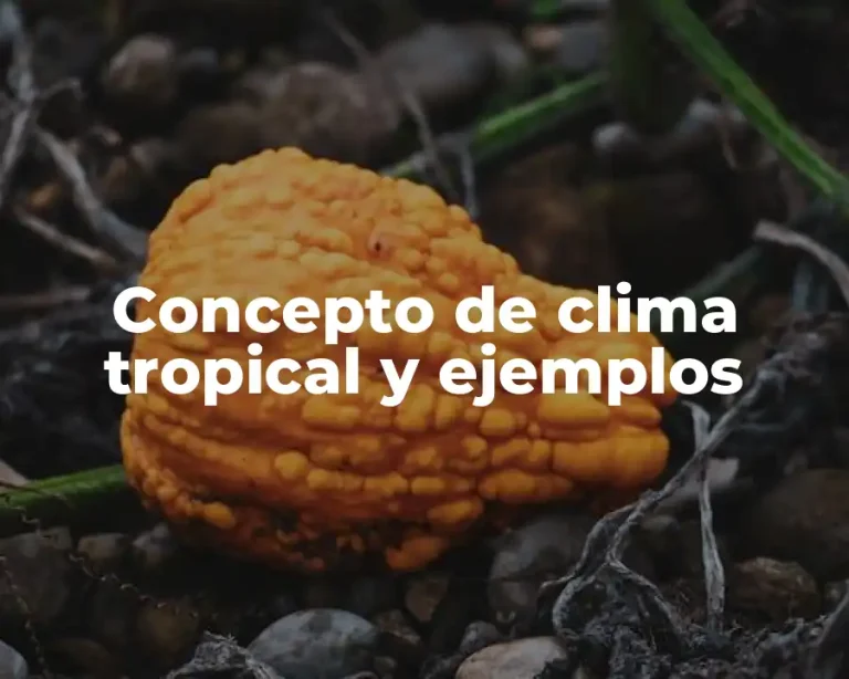 Concepto de clima tropical y ejemplos
