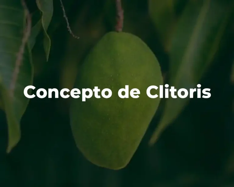 Concepto de Clitoris