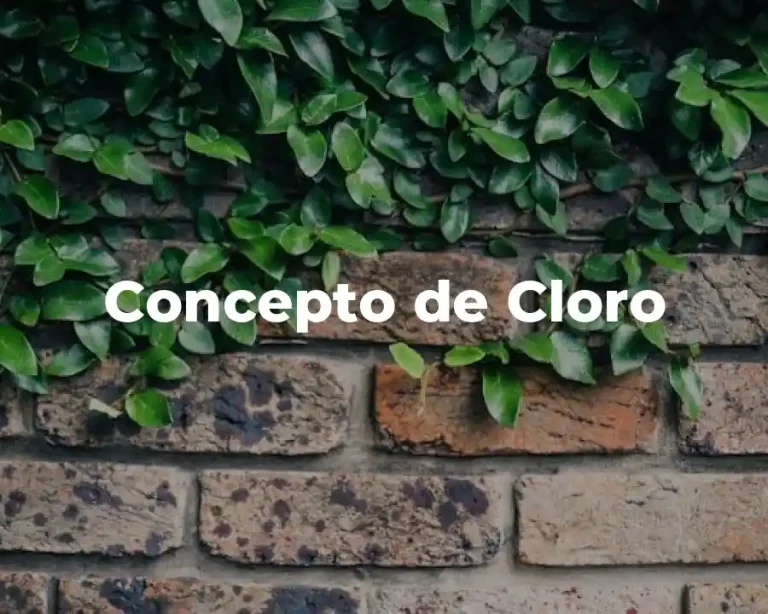 Concepto de Cloro