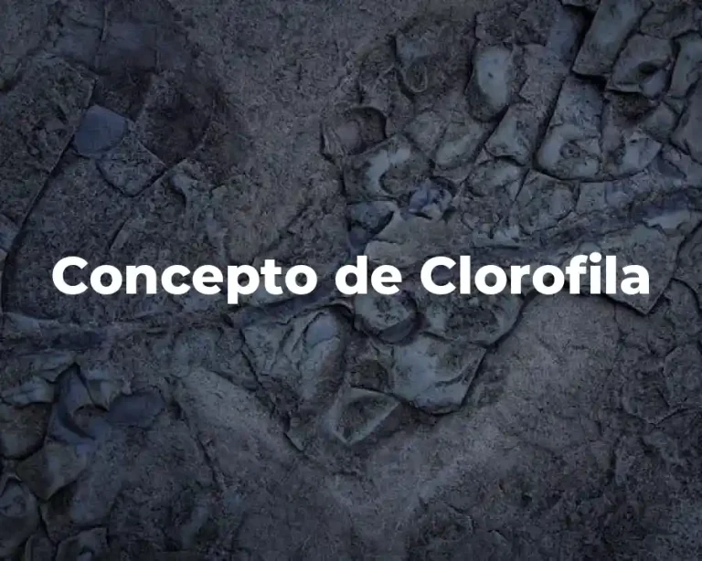 Concepto de Clorofila