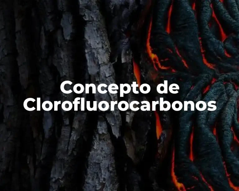 Concepto de Clorofluorocarbonos
