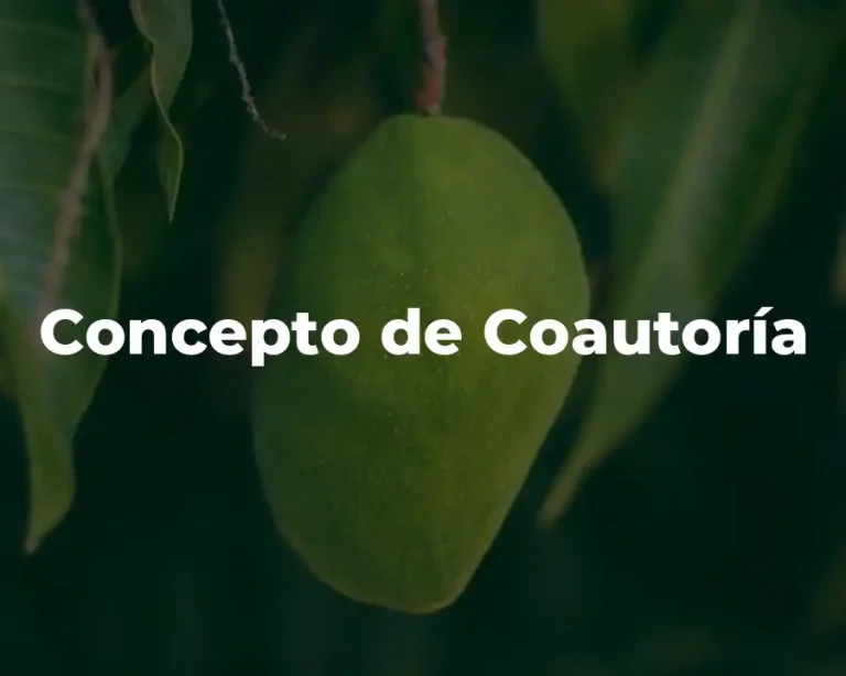 Concepto de Coautoría