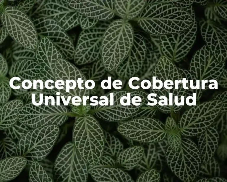 Concepto de Cobertura Universal de Salud