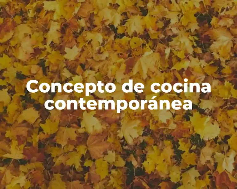 Concepto de cocina contemporánea