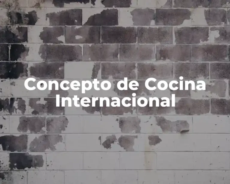 Concepto de Cocina Internacional