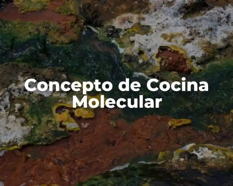 Concepto de Cocina Molecular