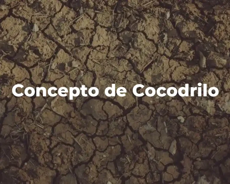 Concepto de Cocodrilo