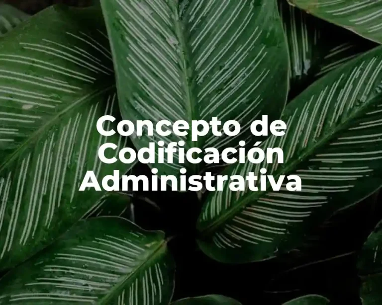 Concepto de Codificación Administrativa