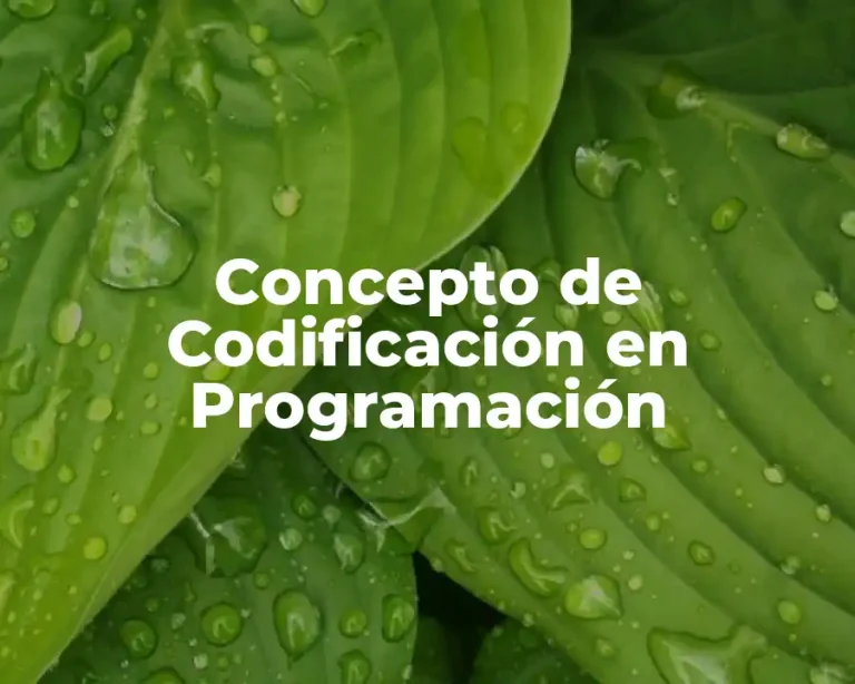 Concepto de Codificación en Programación