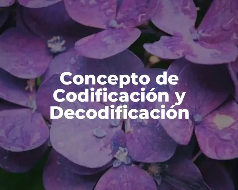 Concepto de Codificación y Decodificación