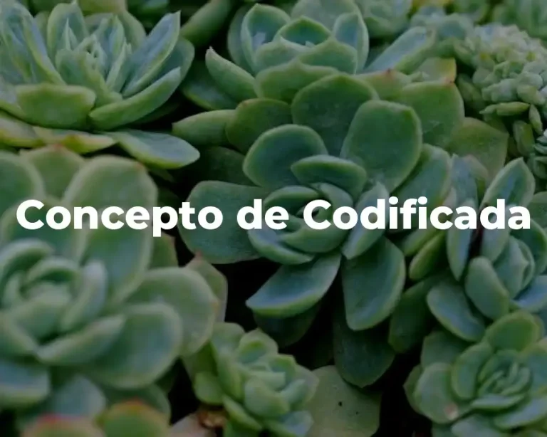 Concepto de Codificada
