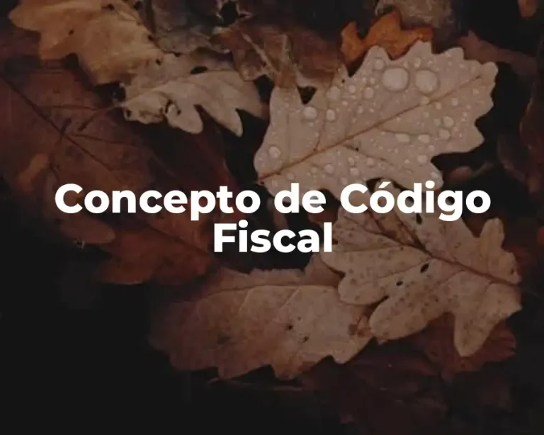 Concepto de Código Fiscal