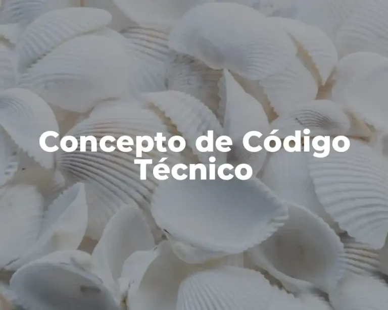 Concepto de Código Técnico
