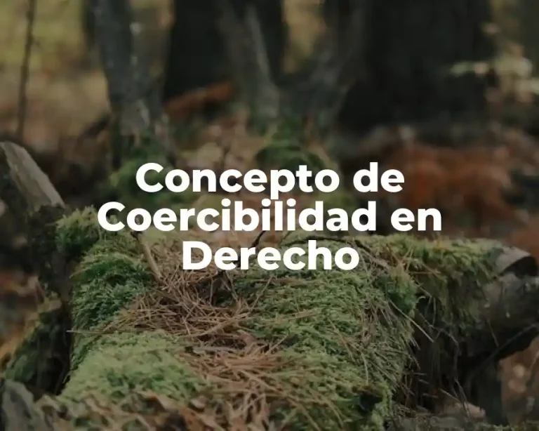 Concepto de Coercibilidad en Derecho