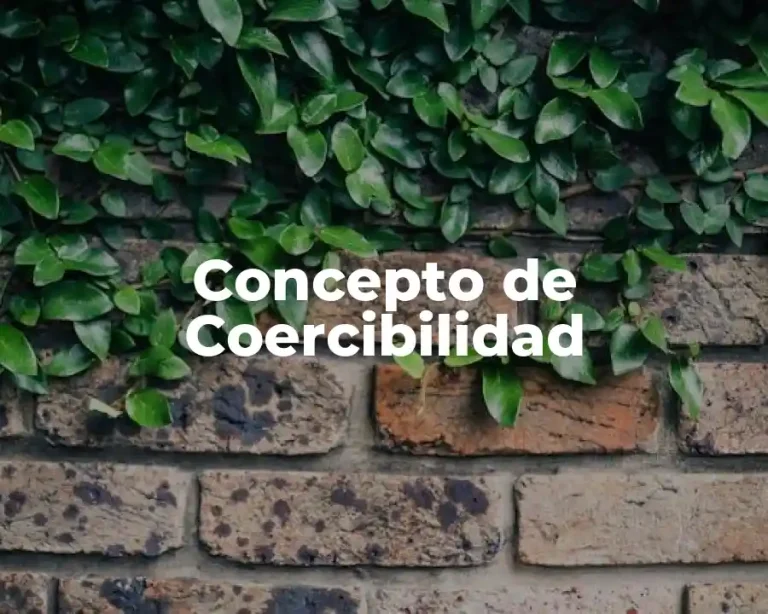Concepto de Coercibilidad