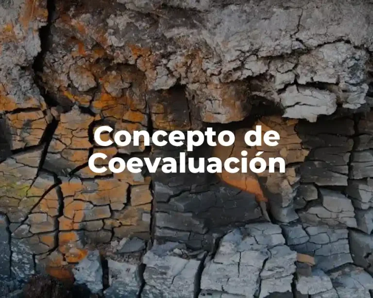 Concepto de Coevaluación