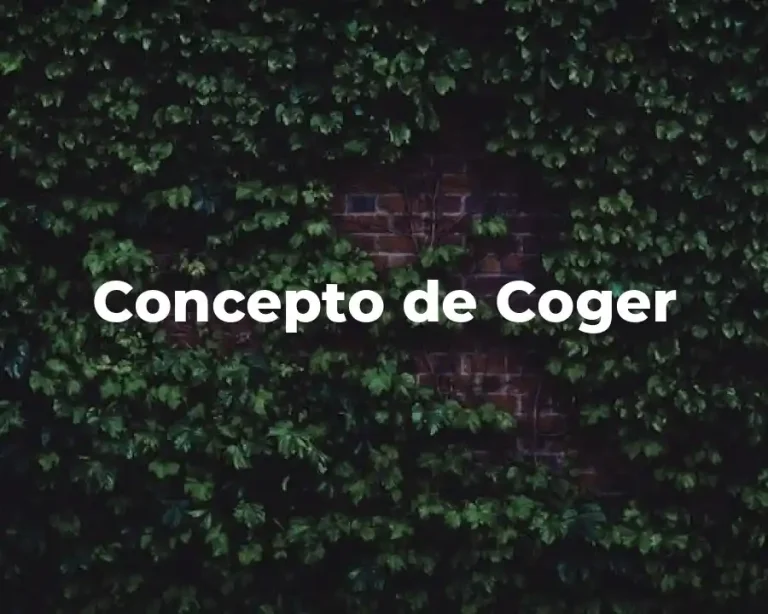Concepto de Coger