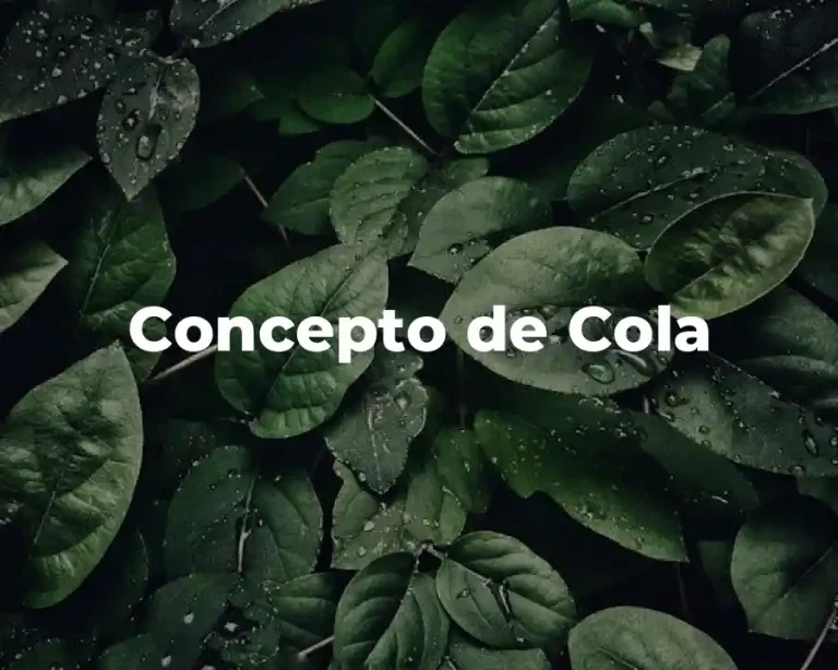 Concepto de Cola